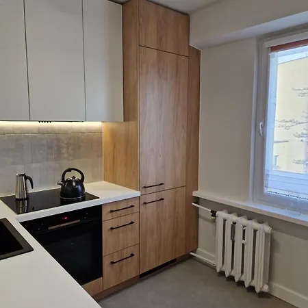 公寓 Moje Miejsce 扎托尔