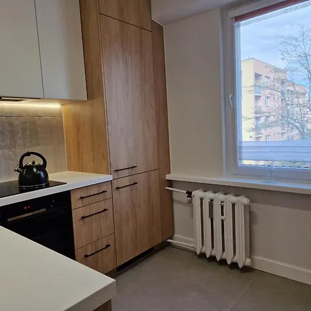 公寓 Moje Miejsce 扎托尔